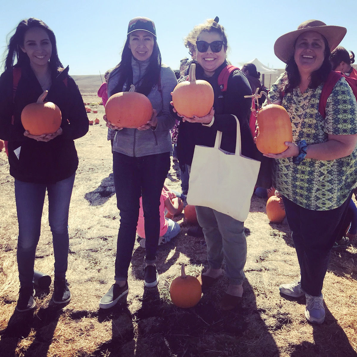 Picking Pumpkins 2019
